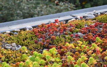 the cost of Bramford green roof installation