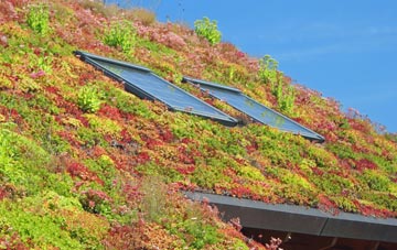 Bramford living roof systems